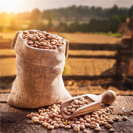 Fèves décortiquées séchées